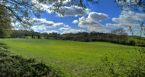 Hartshill Hayes